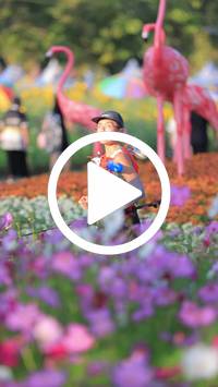 BIB:  <button type="button" onclick="openModal(27588704)" class="btn btn-primary btn-sm float-right" data-toggle="modal" data-target=".modal-high-quality">
                <i class="fa fa-download"></i> Download
                </button>